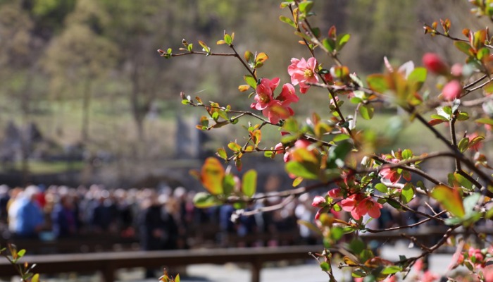 Vasárnapi hírek 2026.04.19